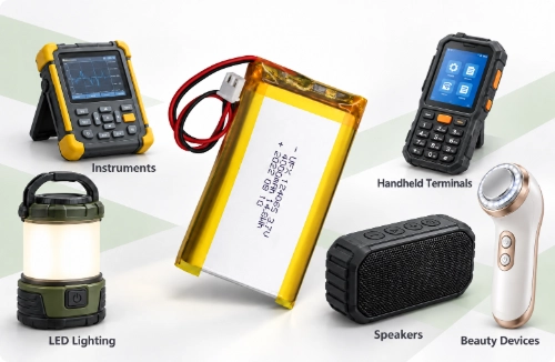 124065 LiPo battery with portable instrument, handheld terminal, LED light, speaker, and beauty device examples