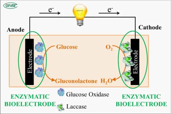 biological battery principle