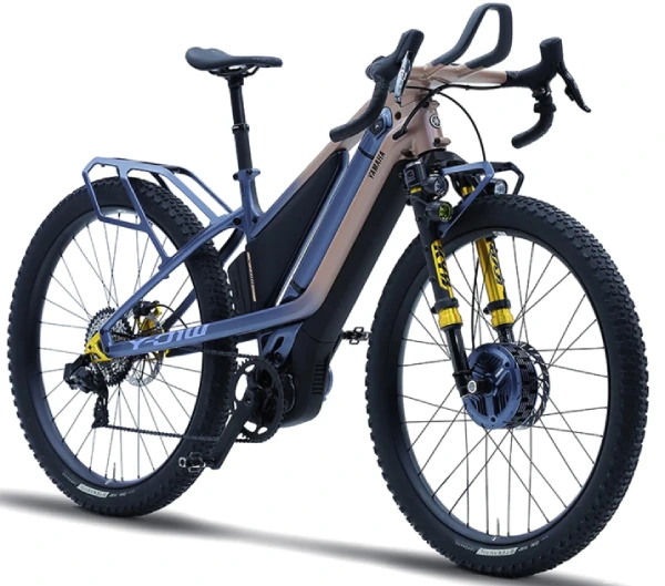 e-bikes battery