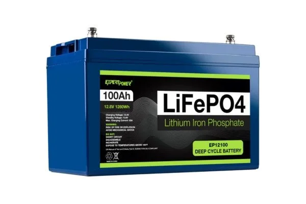 expert power 12v ep 12100