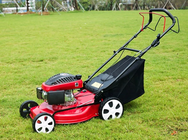gasoline lawn mower