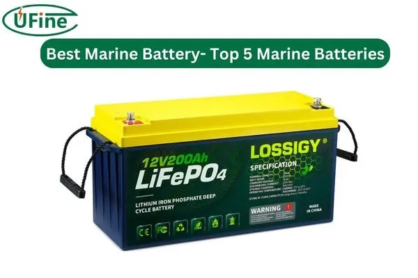 lossigy 12v 200ah marine battery