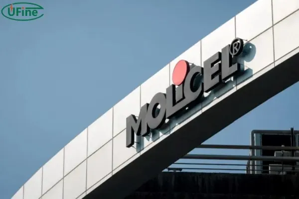 molicel 18650 li ion cells