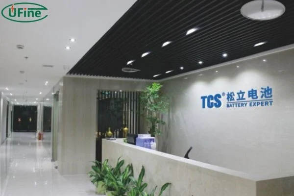 tenergy power li ion battery pack factory