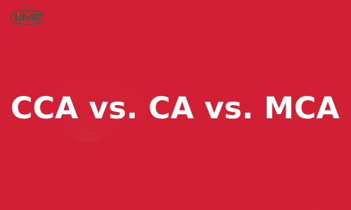 cca vs ca vs mca