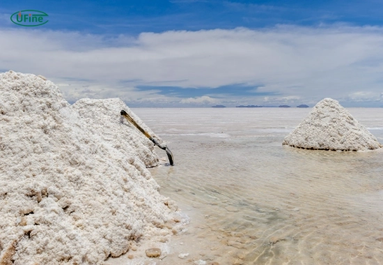is lithium a salt