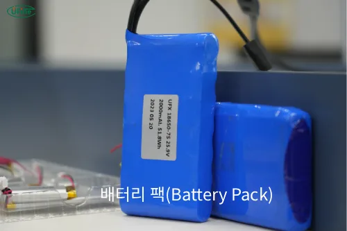배터리 팩(Battery Pack)