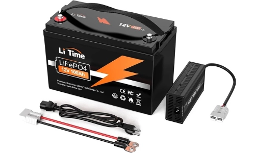 litime lifepo4 battery with built in bms