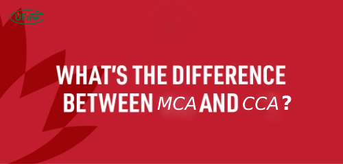 mca vs cca