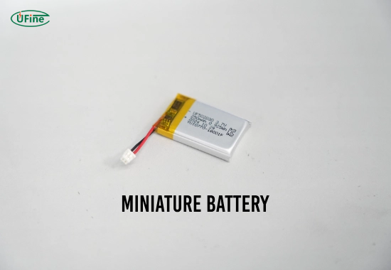 what is a miniature battery