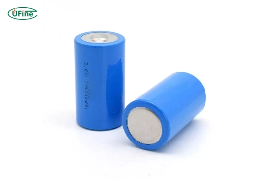 what are lithium d size rechargeable batteries